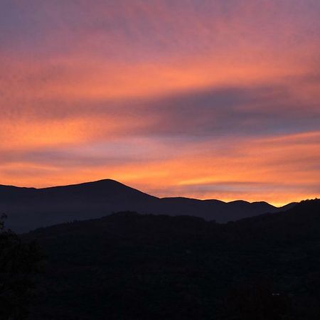 La Banditaccia Monticello Amiata Dış mekan fotoğraf
