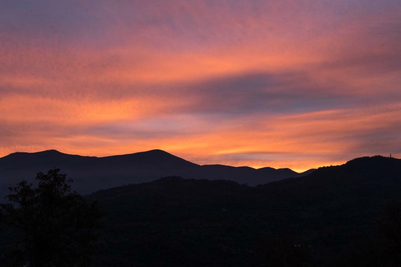 La Banditaccia Monticello Amiata Dış mekan fotoğraf