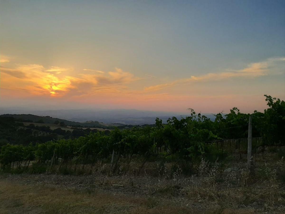 La Banditaccia Monticello Amiata Dış mekan fotoğraf