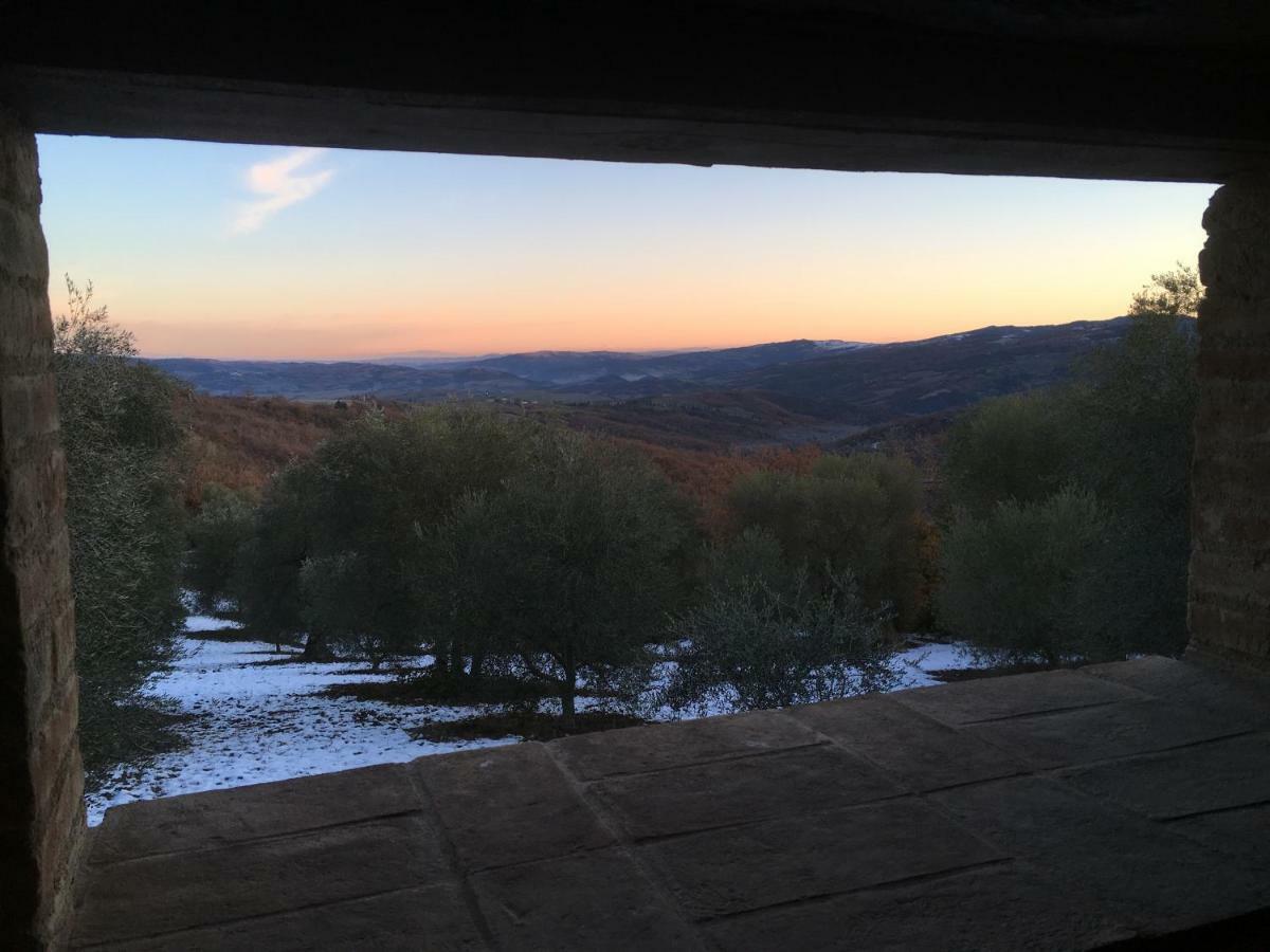 La Banditaccia Monticello Amiata Dış mekan fotoğraf