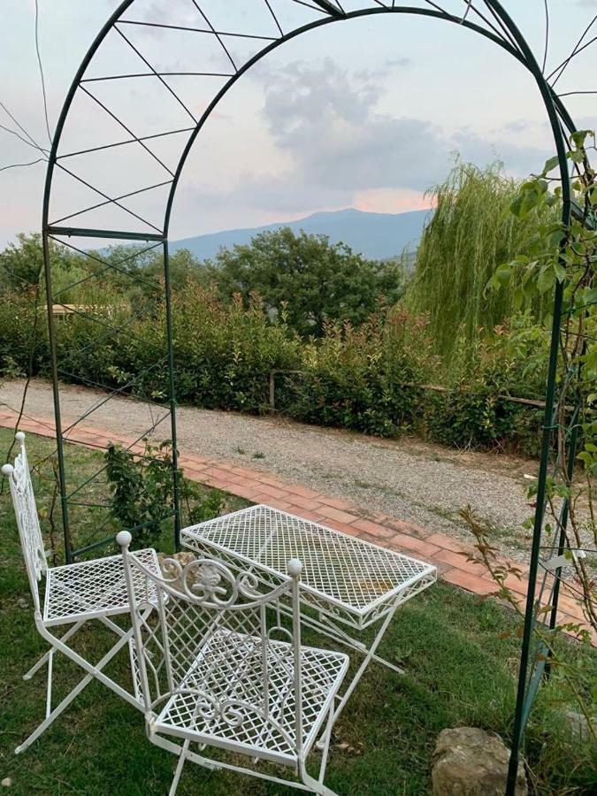 La Banditaccia Monticello Amiata Dış mekan fotoğraf