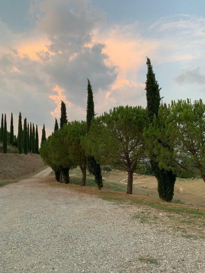 La Banditaccia Monticello Amiata Dış mekan fotoğraf